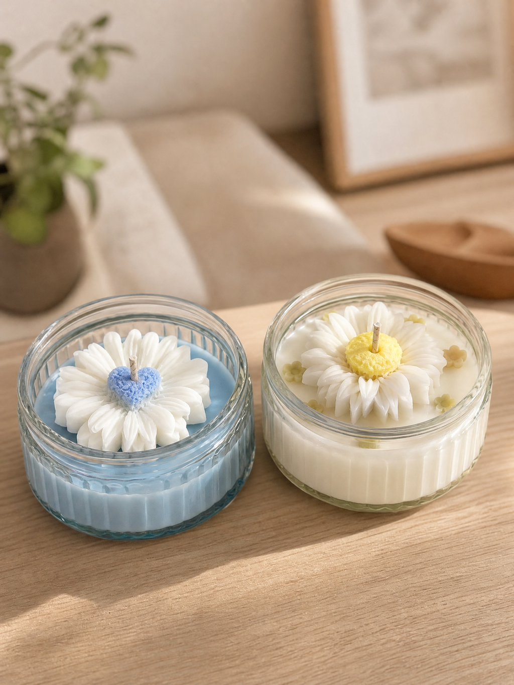 Daisy Dream