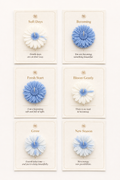 Daisy Cards