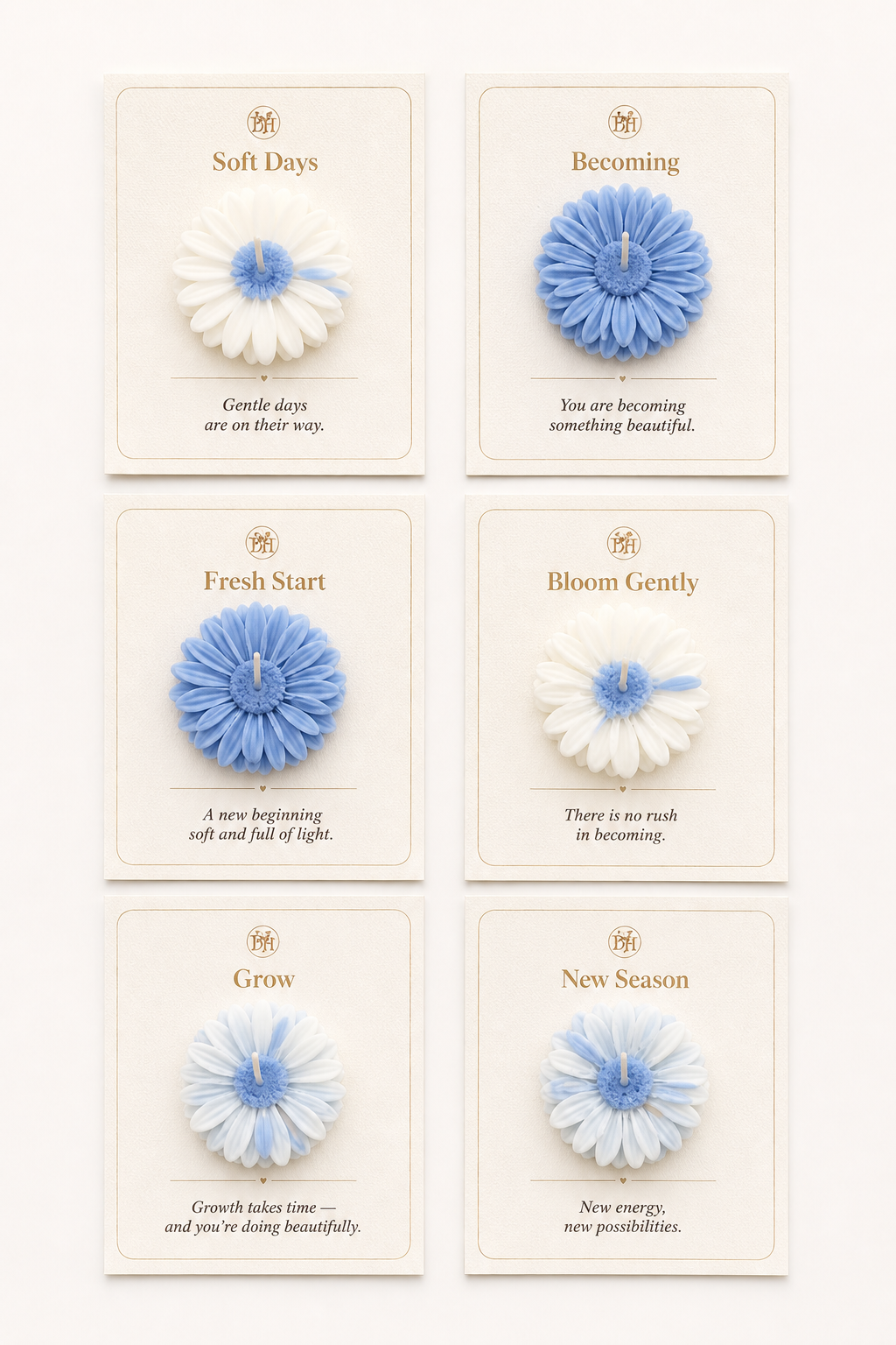 Daisy Cards