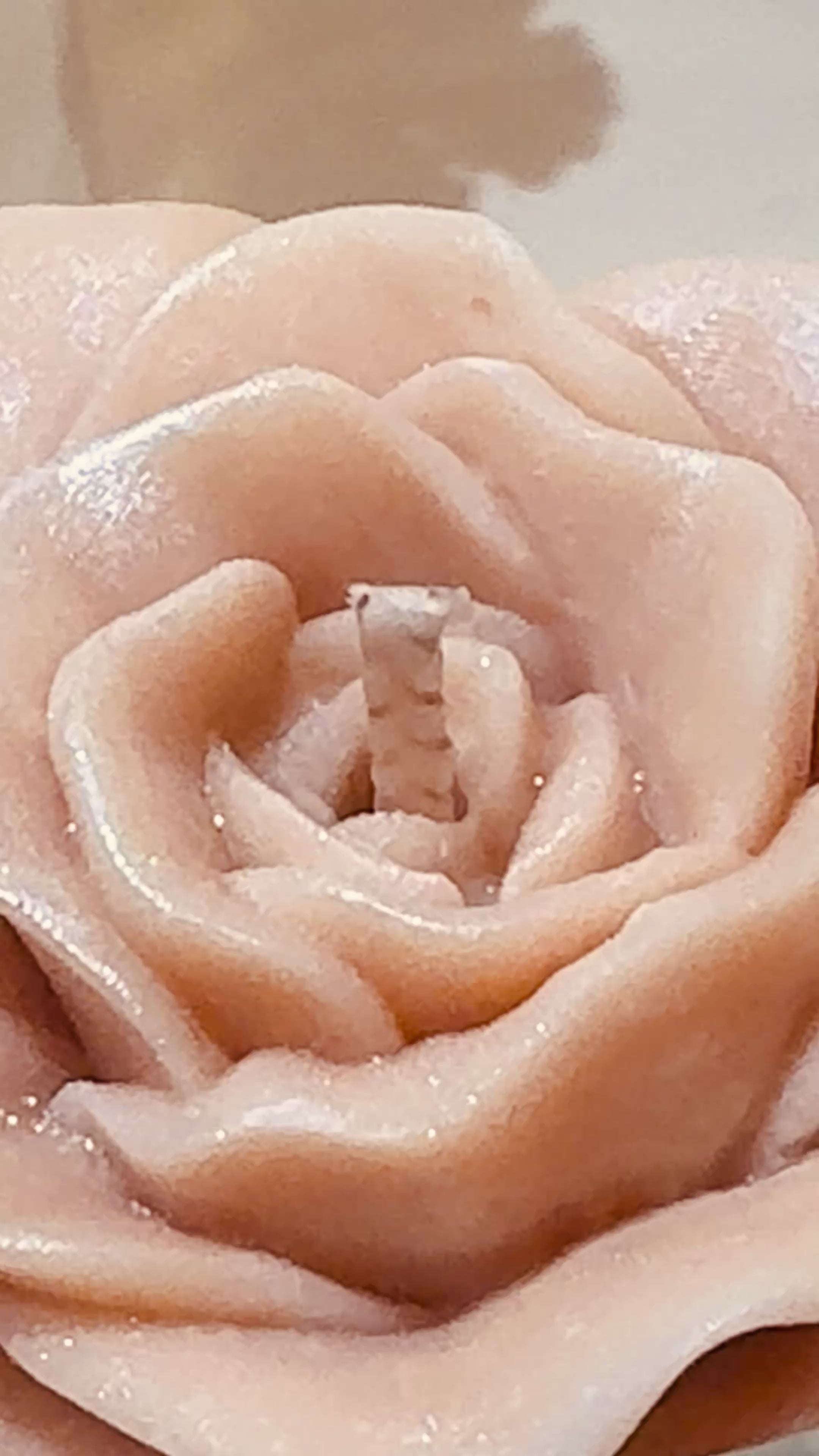 Blush Rose